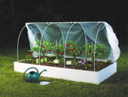 Как получить ранний урожай? Выращивание овощей в парниках и под пленкой