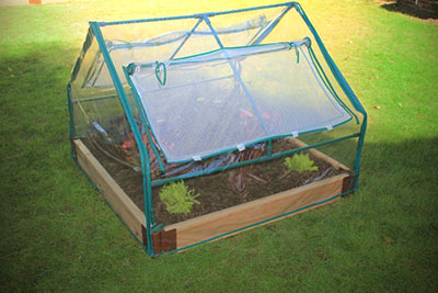 Как получить ранний урожай? Выращивание овощей в парниках и под пленкой - 4