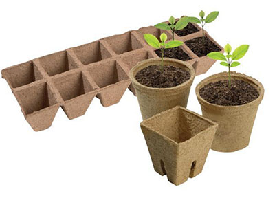 Как вырастить рассаду: наиболее популярные способы - 5