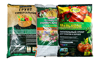 Грунт для рассады: оптимальный вариант