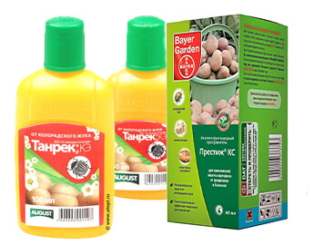 «Заморский гость»: какие методы применяют в борьбе с колорадским жуком? - 2