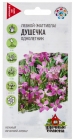 семена Маттиола двурогая (левкой) однолетник Душечка (серия Удачные семена) 0,3 гр цветной пакет годен до 31.12.2028 (Гавриш)