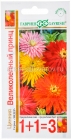 семена Цинния однолетник Великолепный принц (серия 1+1=3) кактусовидная смесь 0,5 гр цветной пакет годен до 31.12.2027 (Гавриш)