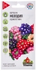 Семена Вербена однолетник Мелодия (серия Удачные семена) 0,05 гр цветной пакет годен до 31.12.2026 (Гавриш) 