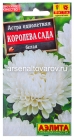 семена Астра однолетник Королева сада белая 0,2 гр цветной пакет годен до 31.12.2028 (Аэлита)