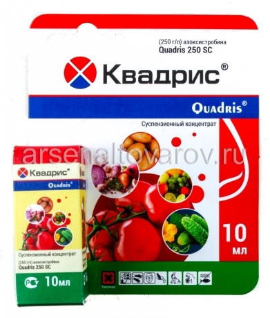 Квадрис 10 мл средство от мучнистой росы, фитофтороза, милдью, оидиум (Беларусь)