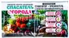 Спасатель Огорода (3 мл инсектицид + 10 мл прилипатель) средство от фитофтороза, мучнистой росы, серой гнили, колорадского жука, тли, трипсов (Беларусь)