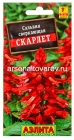 семена Сальвия сверкающая однолетник Скарлет 0,1 гр цветной пакет годен до 31.12.2027 (Аэлита)