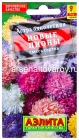 семена Астра однолетник Новые пионы (серия Лидер) смесь сортов 0,2 гр цветной пакет годен до 31.12.2028 (Аэлита)