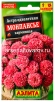 Семена Астра однолетник Монпансье карминная 0,2 гр цветной пакет годен до 31.12.2028 (Аэлита) 