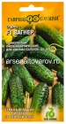 семена Огурец Вагнер F1 (серия Голландия) 5 шт цветной пакет годен до 31.12.2028 (Гавриш)