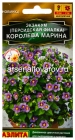 семена Экзакум (Персидская фиалка) многолетник Королева Марина 4 шт цветной пакет годен до 31.12.2028 (Аэлита)