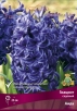 Гиацинт Аида (в пакете 3 шт) цена за пакет луковичные (Голландия) 