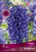Гиацинт Блу Джэкет (в пакете 3 шт) цена за пакет луковичные (Голландия) 