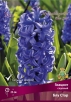 Гиацинт Блу Стар (в пакете 3 шт) цена за пакет луковичные (Голландия) 