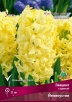 Гиацинт Йеллоустон (в пакете 3 шт) цена за пакет луковичные (Голландия) 