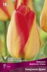 Тюльпан дарвиновский Американ Дрим (в пакете 10 шт) цена за пакет луковичные (Голландия) 