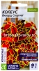 Семена Колеус многолетник Визард Скарлет 5 шт цветной пакет годен до 31.12.2029 (Семена Алтая) 