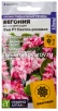 Семена Бегония вечноцветущая однолетник Фея F1 светло-розовая 5 шт цветной пакет (Семена Алтая) 