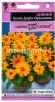 Семена Цинния однолетник Белиз даубл оранжевая (серия Эксклюзив) 5 шт цветной пакет годен до 31.12.2029 (Гавриш) 