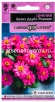 Семена Цинния однолетник Белиз даубл розовая (серия Эксклюзив) 5 шт цветной пакет годен до 31.12.2029 (Гавриш) 