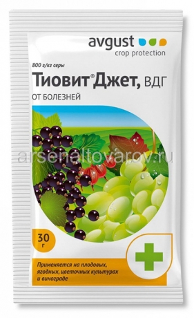 Тиовит Джет 30 гр средство от мучнистой росы, оидиума, паутинных клещей (Август)