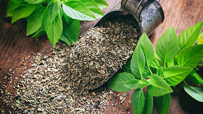 Что нужно для выращивания базилика в домашних условиях?