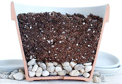 Как использовать дренаж для цветов и комнатных растений?