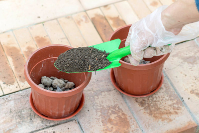 Как использовать дренаж для цветов и комнатных растений?