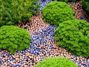 grunt_torf_drenaz_Voronezh