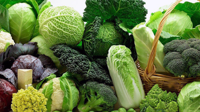 Все, что важно знать о выращивании капусты: семена, сорта, разновидности – какие выбрать и как получить хороший урожай?