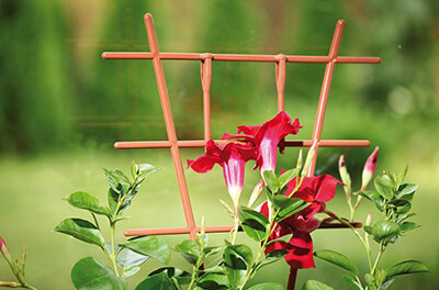 Трехмерное пространство ландшафтного дизайна: как выбрать и когда необходимо применять держатели и опоры для растений