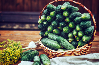 От маленького семечка до большого урожая: все о выращивании огурцов для начинающих