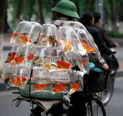 Полиэтиленовый пакет: из чего делают и где применяют? - 4