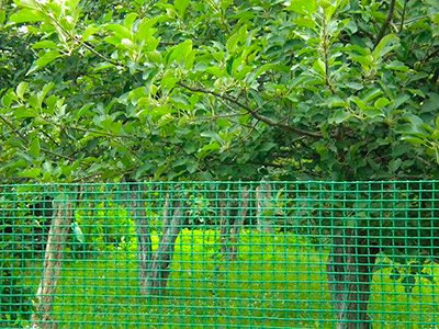 plastikovaya_setka_Voronezh