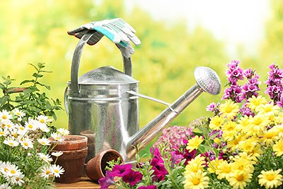 Ваш щит против жары и засухи: как выбрать все для полива огорода?
