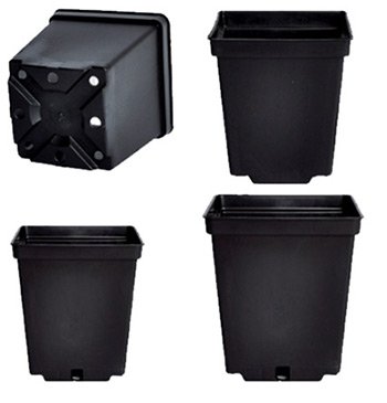 Ящики для рассады