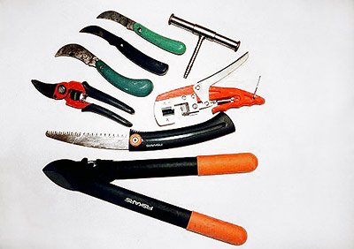 Сотня помощников: как садово-огородный инструмент облегчает работу? - 3