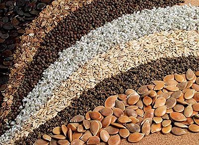 Сеена овощей