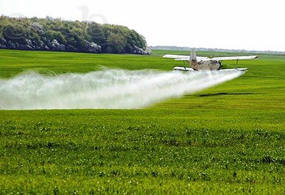 Средства от сорняков