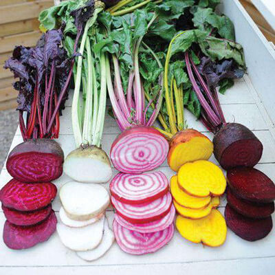 Для салатов и борщей: свекла на вашей грядке от семечки до урожая