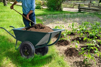 Выбрать и не ошибиться: какая садовая тачка лучше? - 2