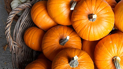 Вкуснейший суп, тыква в духовке и прочие лакомства: как вырастить свой собственный полезный урожай?