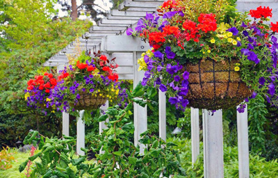 Как правильно выбрать кашпо для выращивания цветов и вазоны для сада